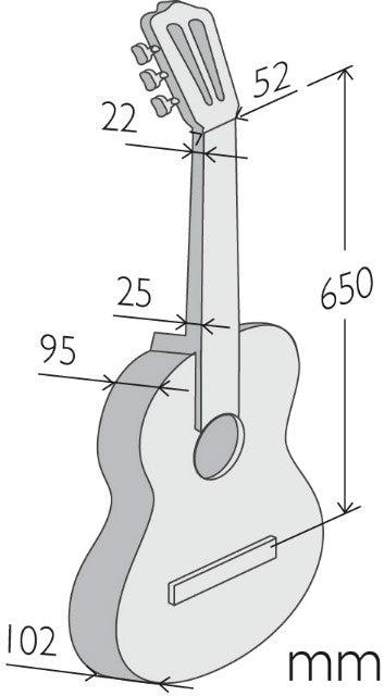 Alhambra 1C Hybrid Terra Classical Guitar