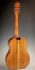 Tony Ennis Classical Guitar, The X-2: Rosewood & Cedar
