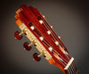 Tony Ennis Classical Guitar, The X-2: Rosewood & Cedar